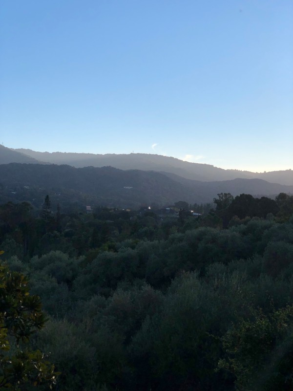 The rolling hills of Los Altos, California.