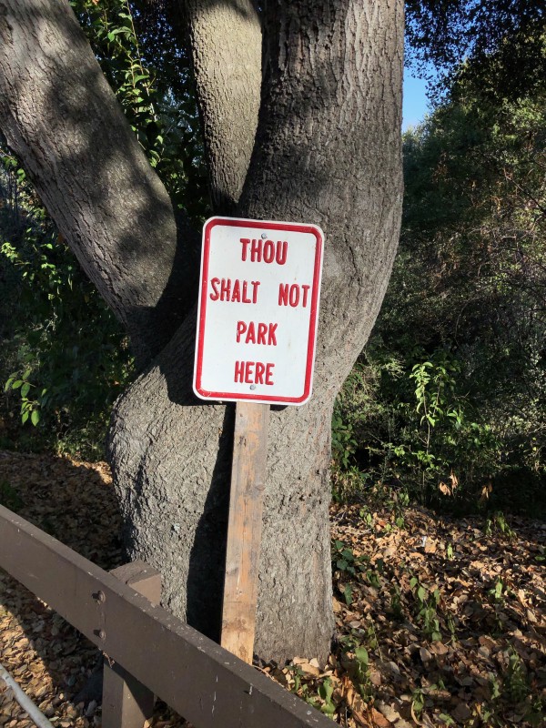 A parking sign that reads 'Thou Shalt not Park here'.